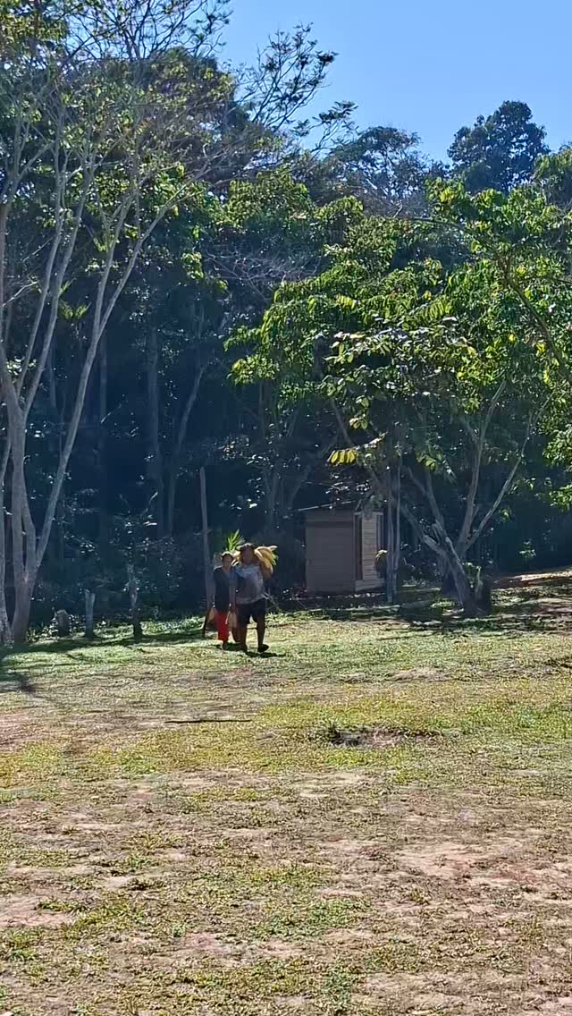 Floresta não se estuda em livro. Floresta se pisa, se respi…