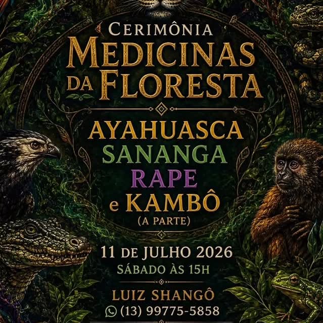 Imersão na Floresta Amazônica com Pajé Metsá - 24 a 30 de A…